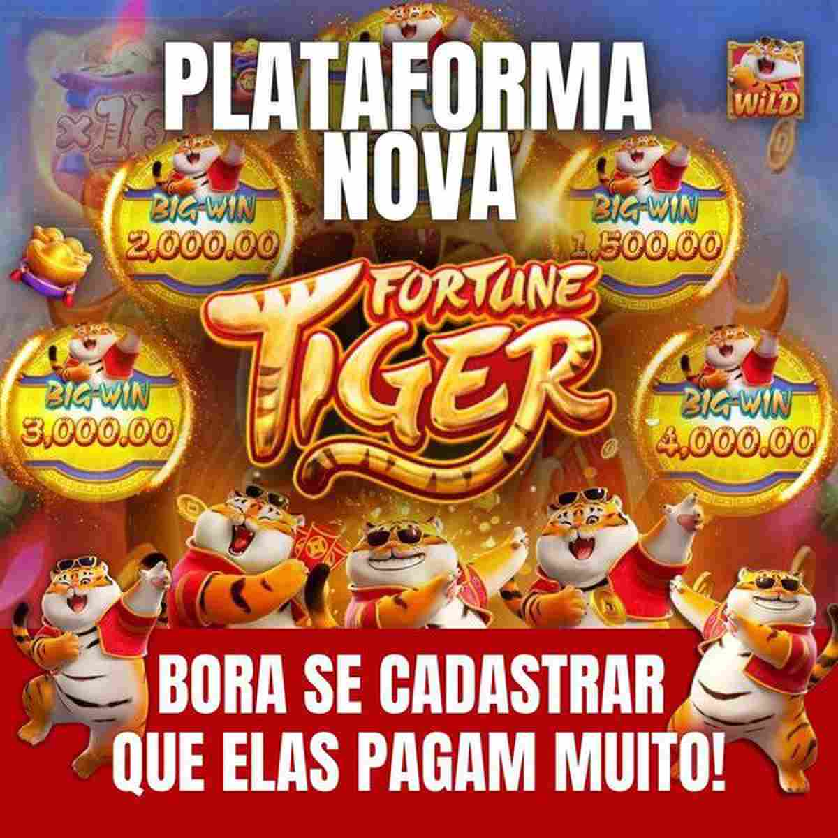 giga bet casino